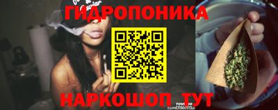 PSILOCYBIN Гусиноозёрск