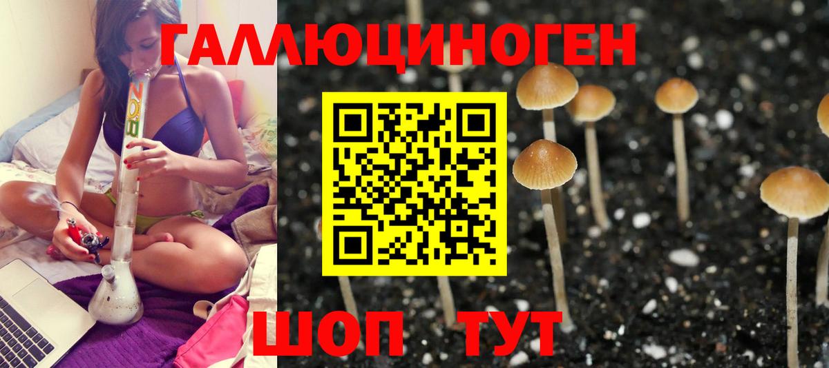 Галлюциногенные грибы Psilocybine cubensis  Псилоцибиновые грибы мухоморы  Вход с VPN  купить наркотик  Майский 
