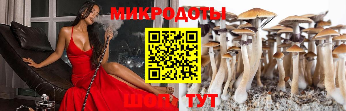 Псилоцибиновые грибы Magic Shrooms Майский